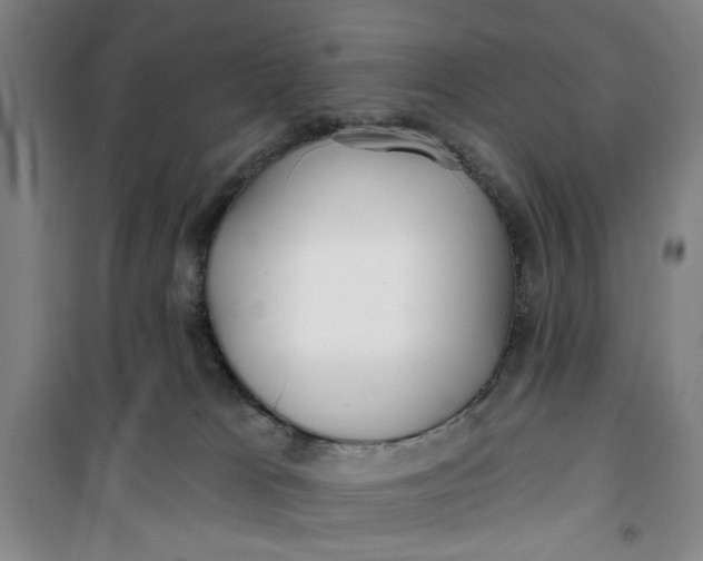 X0000100970037200807151402