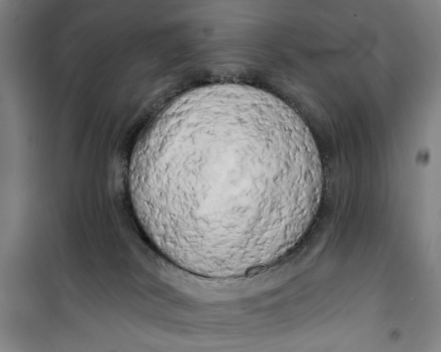 X0000100970038200807151402
