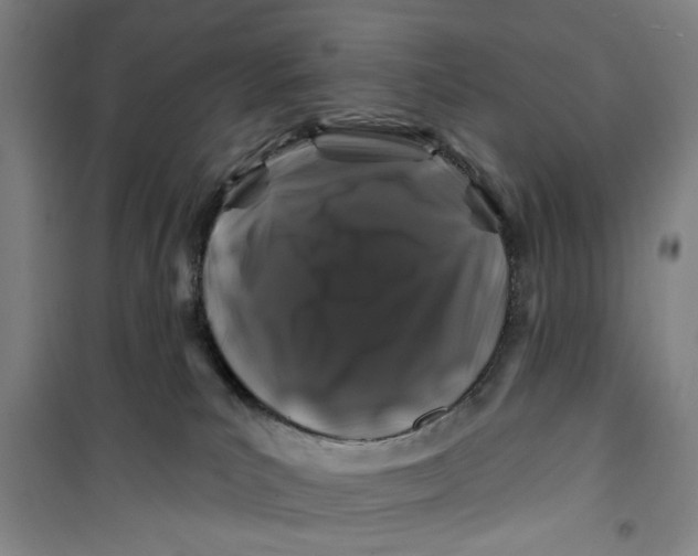 X0000100970039200807151402