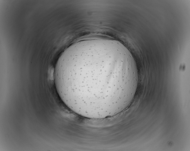 X0000100970041200807151402