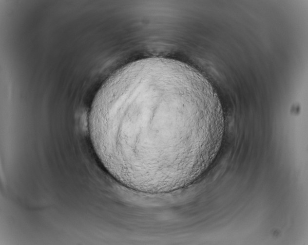 X0000100970042200807151402