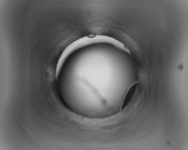 X0000100970043200807151402
