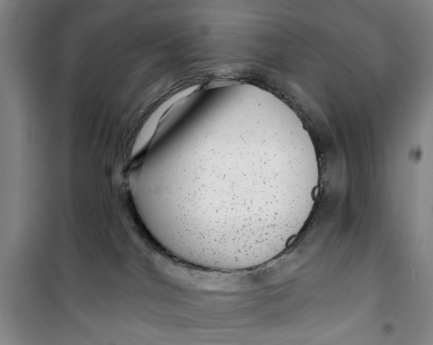 X0000100970044200807151402