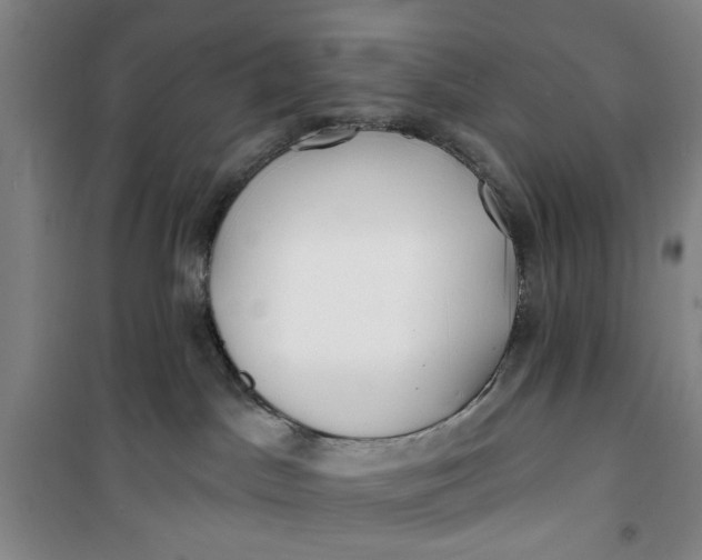 X0000100970045200807151402