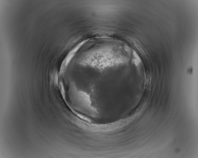 X0000100970046200807151402