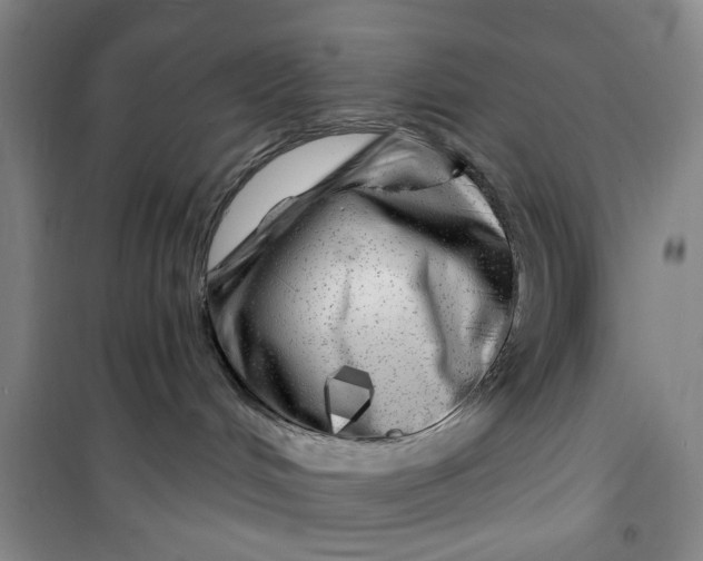 X0000100970048200807151402