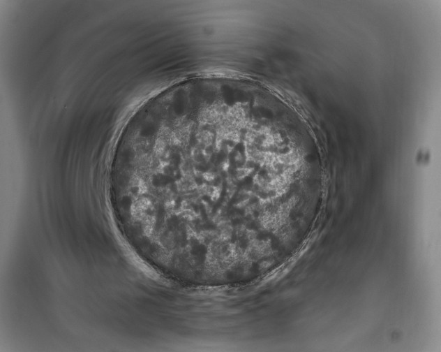 X0000100970049200807151401