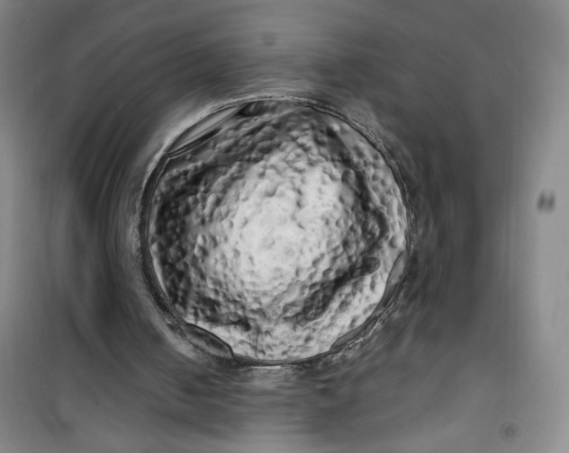 X0000100970050200807151401