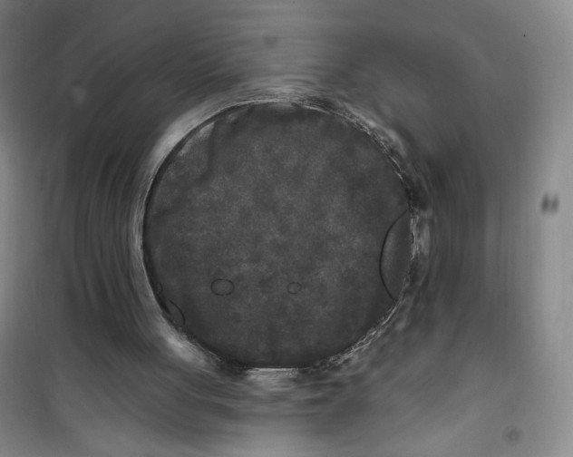X0000100970051200807151401