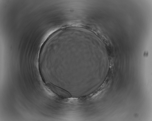 X0000100970052200807151401