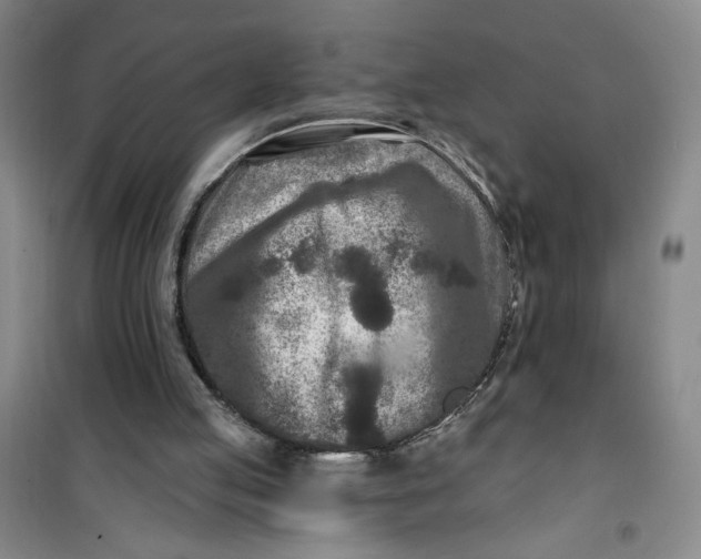 X0000100970053200807151401