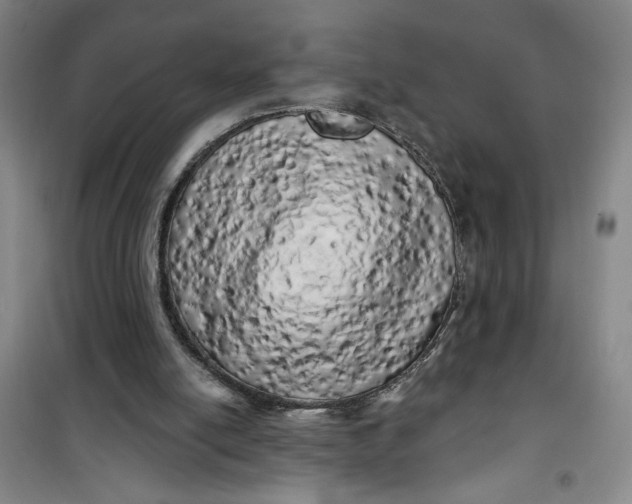 X0000100970054200807151401