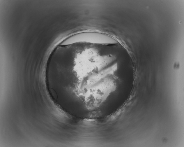 X0000100970055200807151401