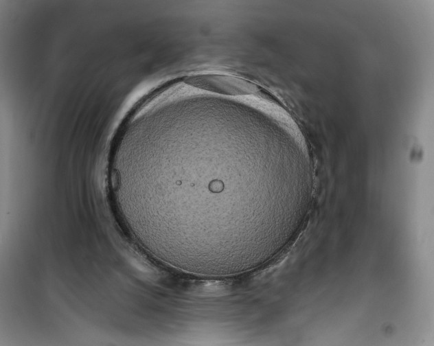 X0000100970056200807151401