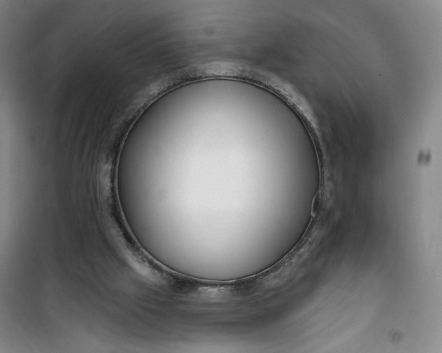 X0000100970057200807151401