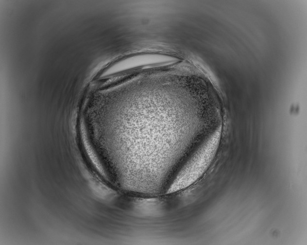 X0000100970058200807151401