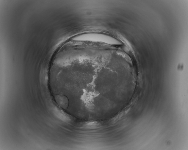 X0000100970059200807151401