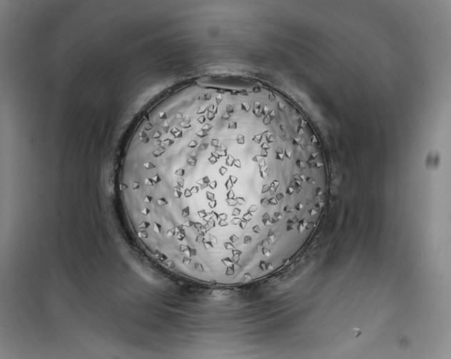 X0000100970060200807151401