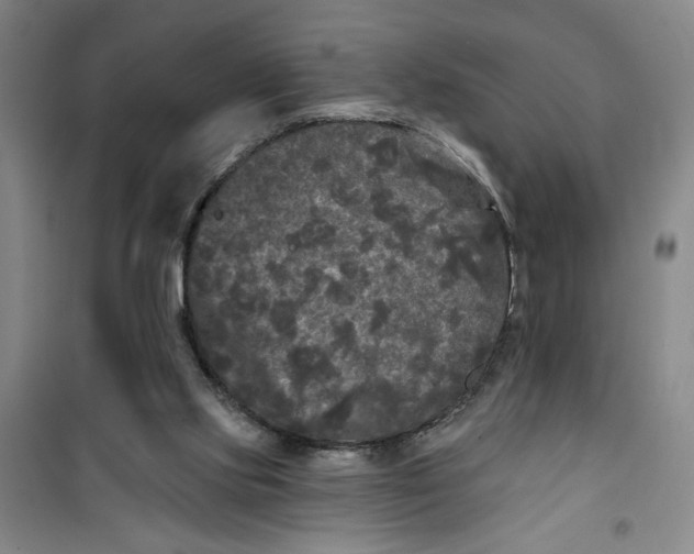 X0000100970061200807151401