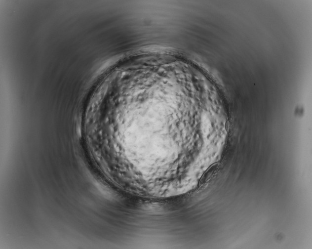 X0000100970062200807151401