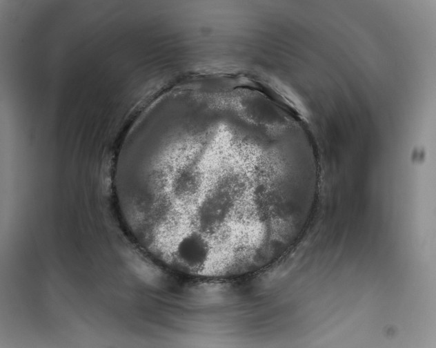 X0000100970065200807151401
