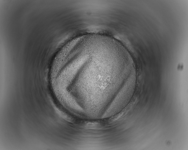 X0000100970066200807151401