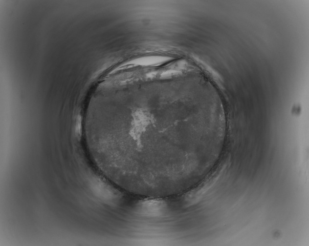 X0000100970067200807151401