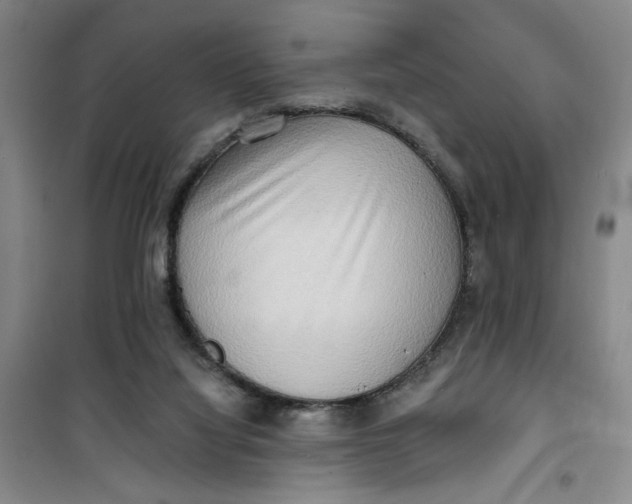 X0000100970068200807151401
