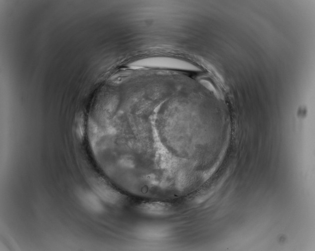 X0000100970069200807151401