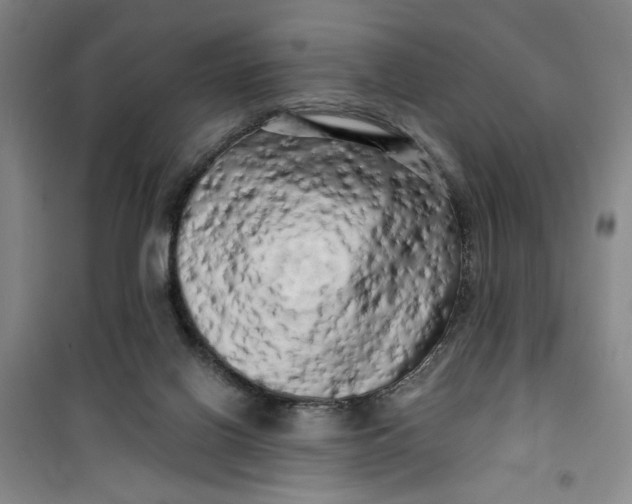 X0000100970070200807151401