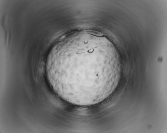 X0000100970071200807151401
