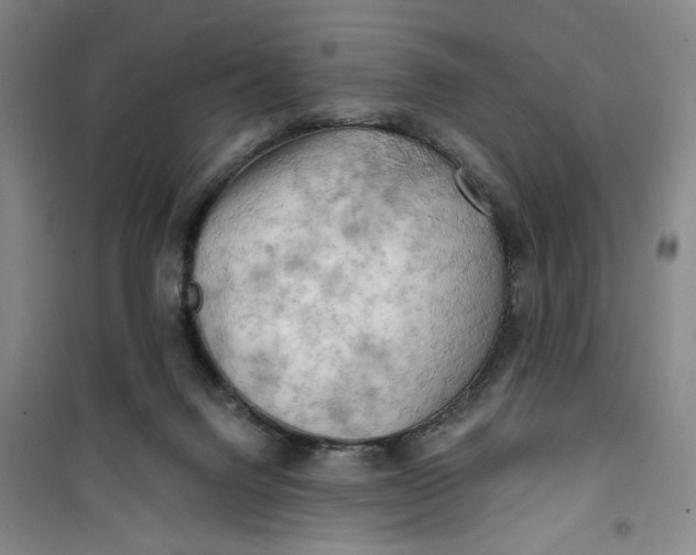 X0000100970072200807151401