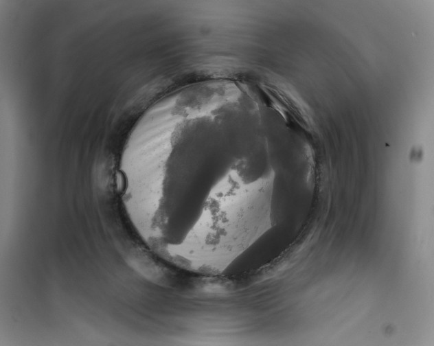 X0000100970073200807151401