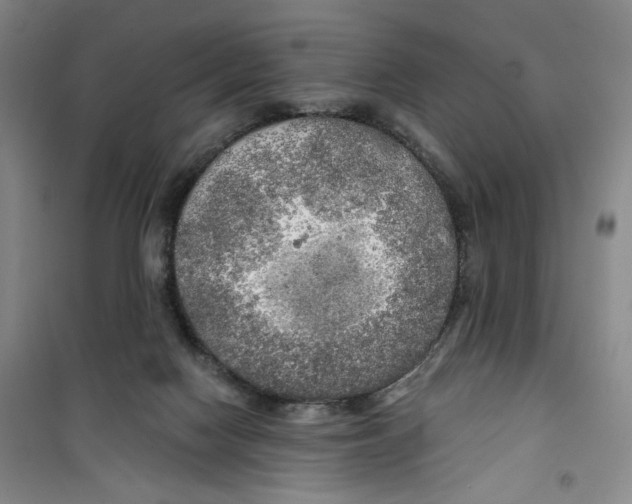 X0000100970074200807151401