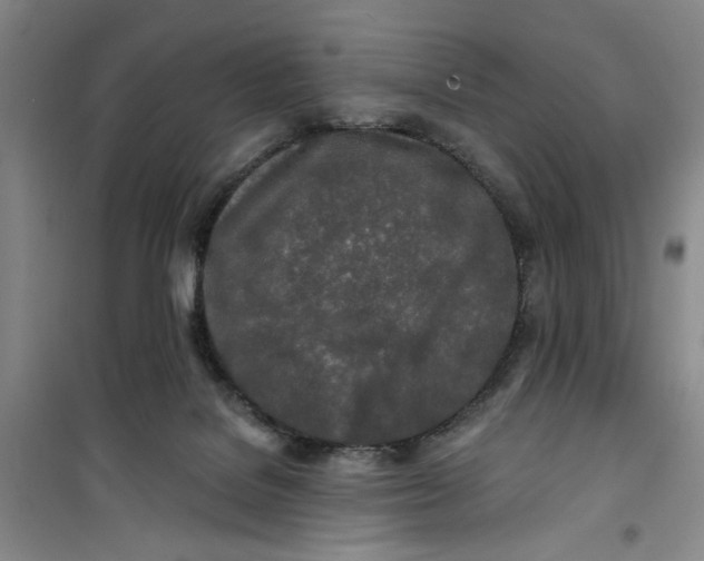 X0000100970076200807151401