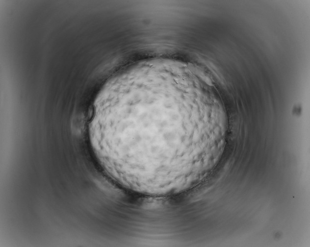 X0000100970077200807151401