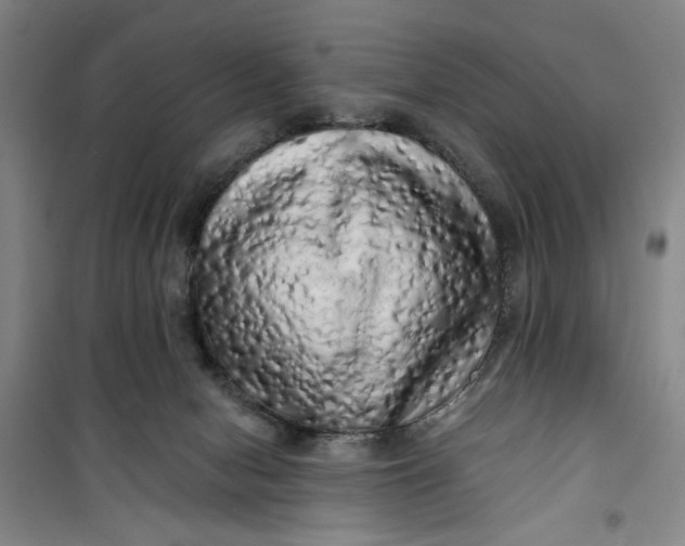 X0000100970078200807151401
