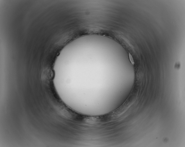 X0000100970079200807151401
