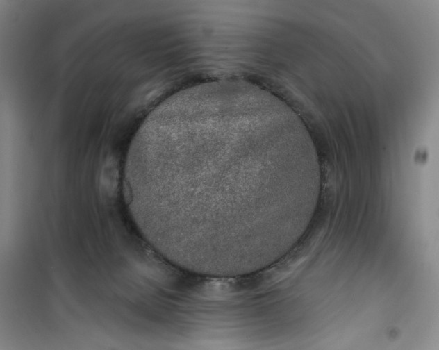 X0000100970080200807151401