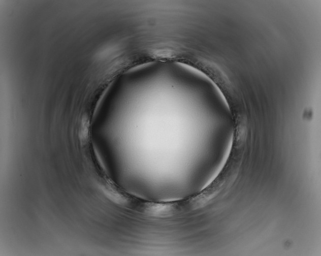 X0000100970081200807151401