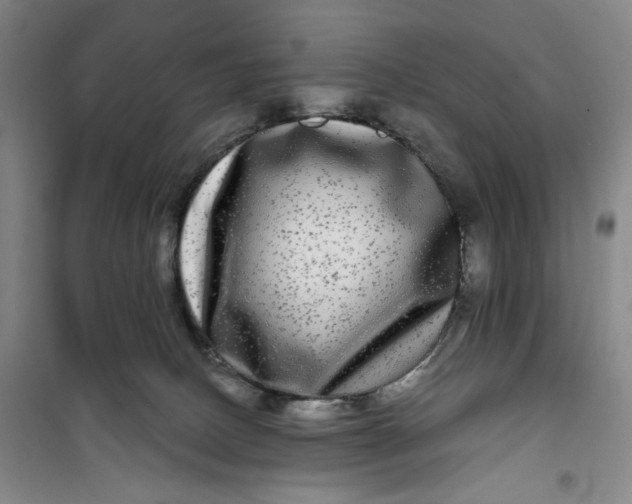 X0000100970082200807151401