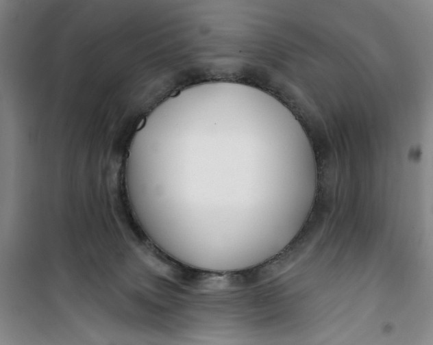 X0000100970083200807151402