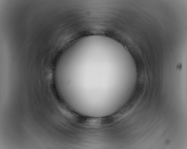 X0000100970084200807151402