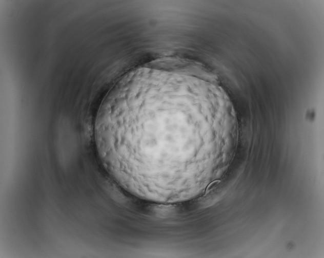 X0000100970085200807151402