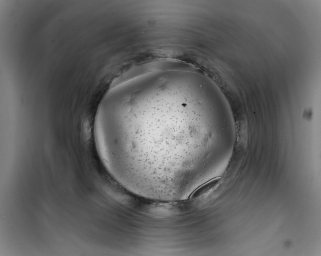 X0000100970086200807151402