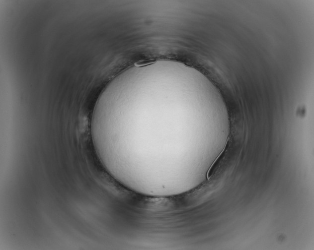 X0000100970087200807151402