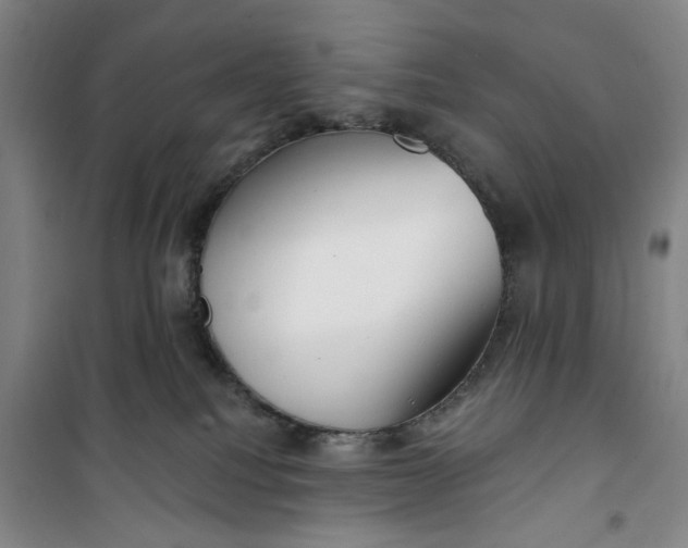 X0000100970088200807151402