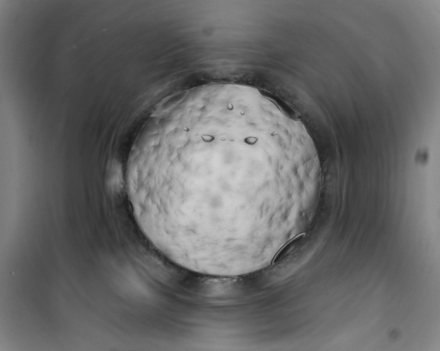X0000100970089200807151402