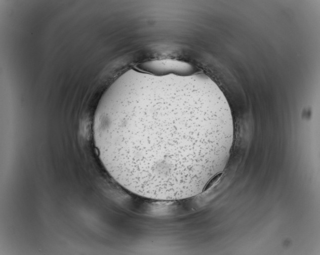 X0000100970090200807151402