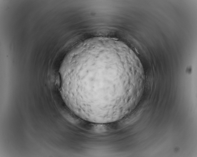 X0000100970091200807151402